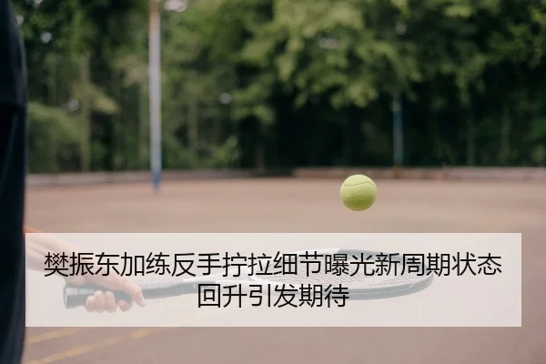 樊振东加练反手拧拉细节曝光新周期状态回升引发期待